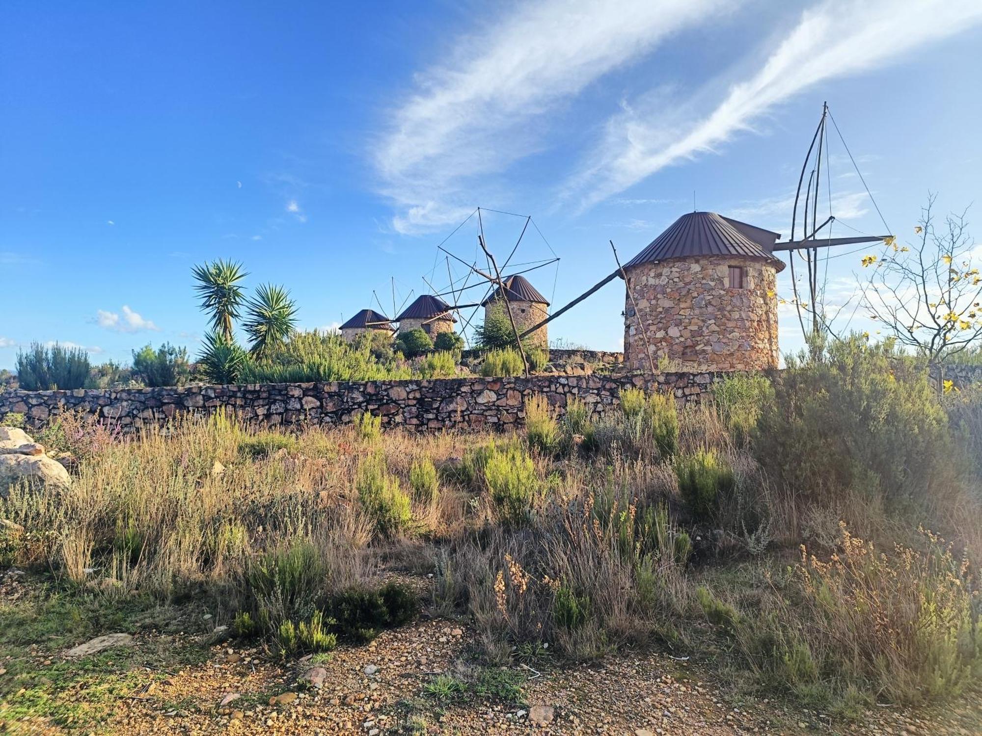 Vila Moinho Da Alfazema Penacova Exteriér fotografie